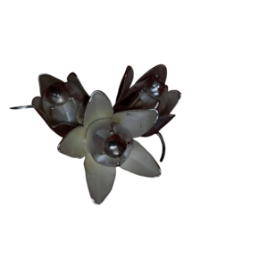 Akondo Flower