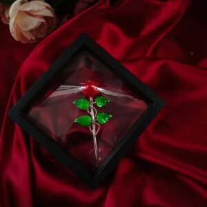 WhatsApp Image 2026 03 19 at 16.40.35 1