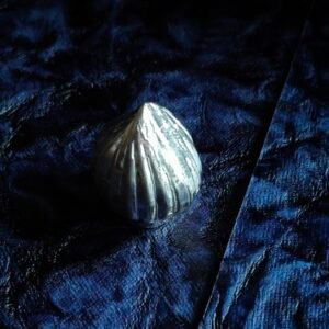 IMG20240824120147 scaled e1775646950158