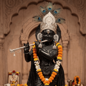 Meena mayur kaan jhumka silver image