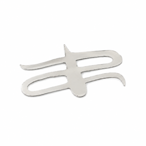 Silver Mahakal Tilak for Shiv sringar